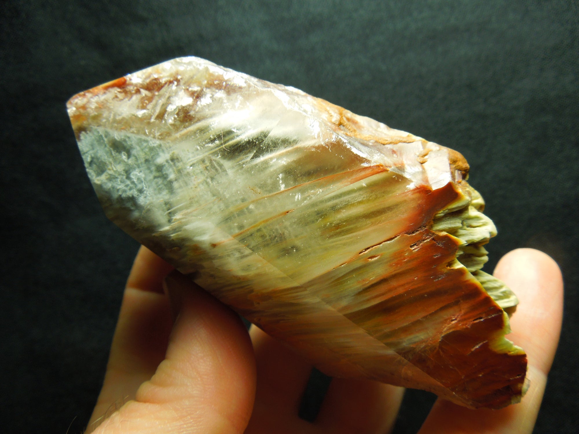 Amphibole Quartz