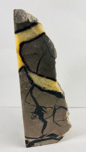 Septarian Bookends