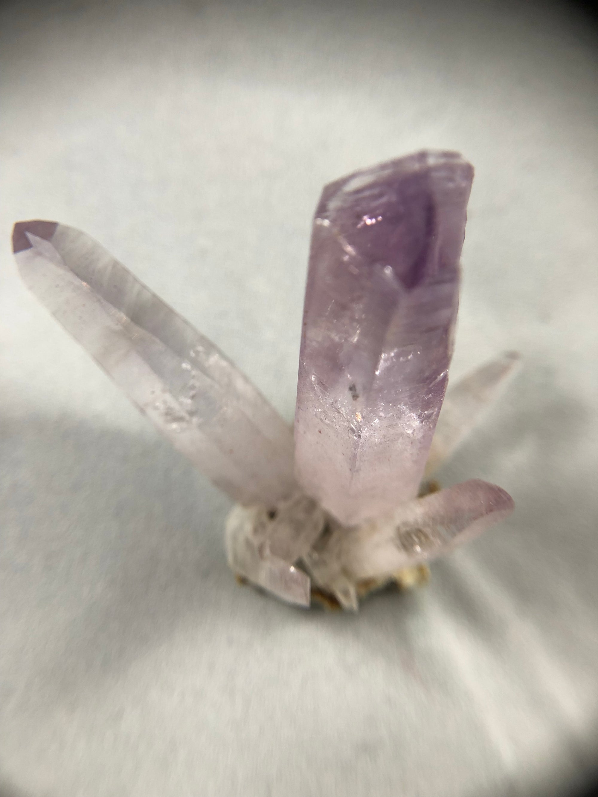 Vera Cruz Amethyst