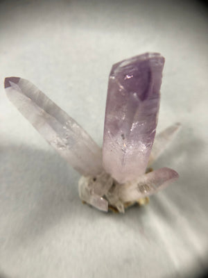Vera Cruz Amethyst