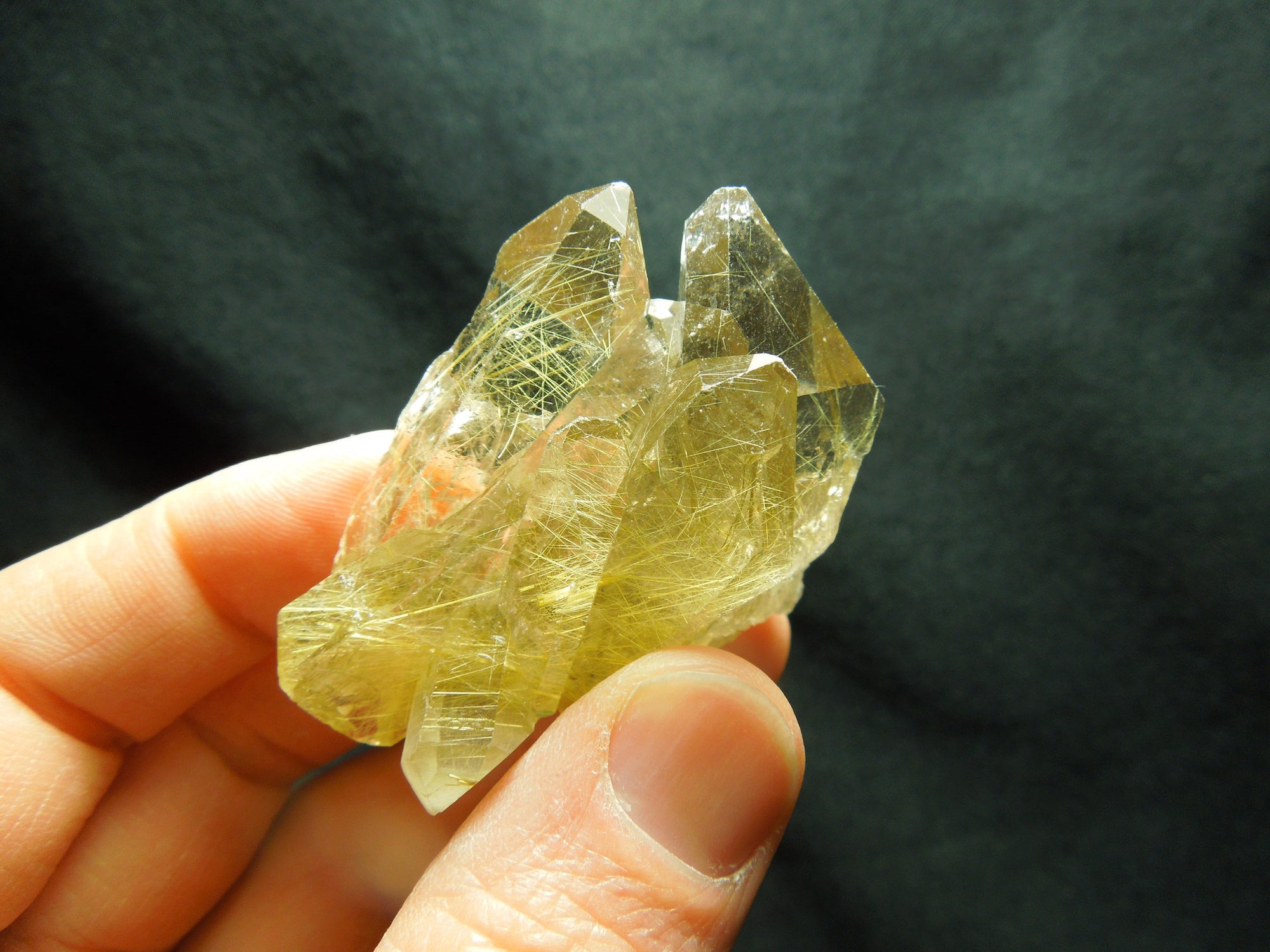 Rutilated Quartz