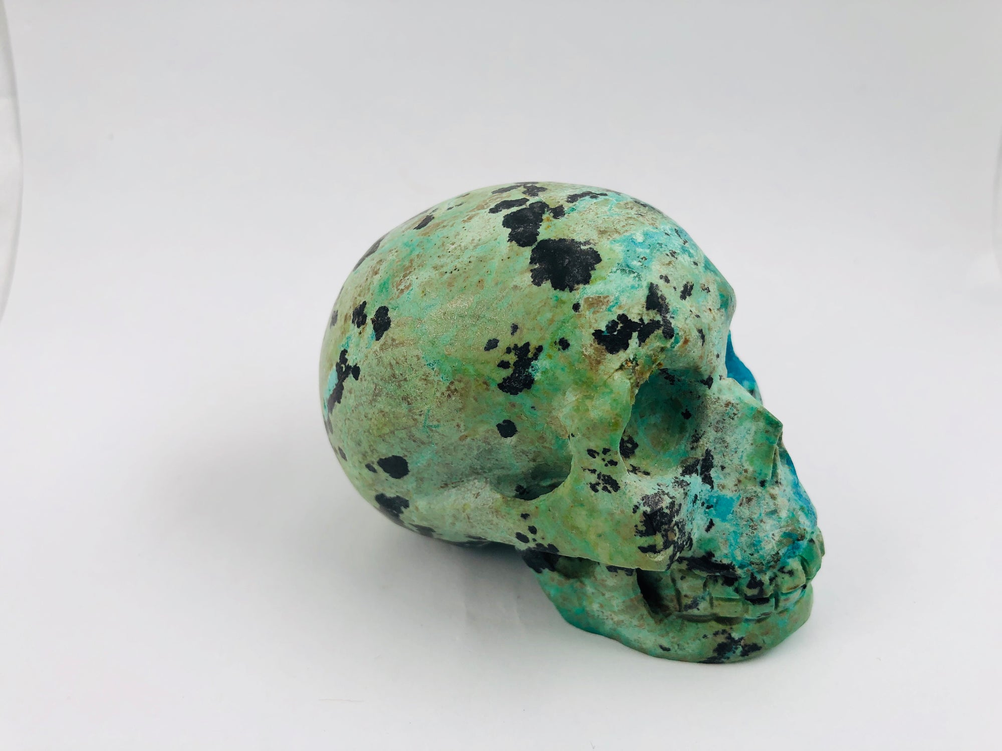 Chrysocolla Skull