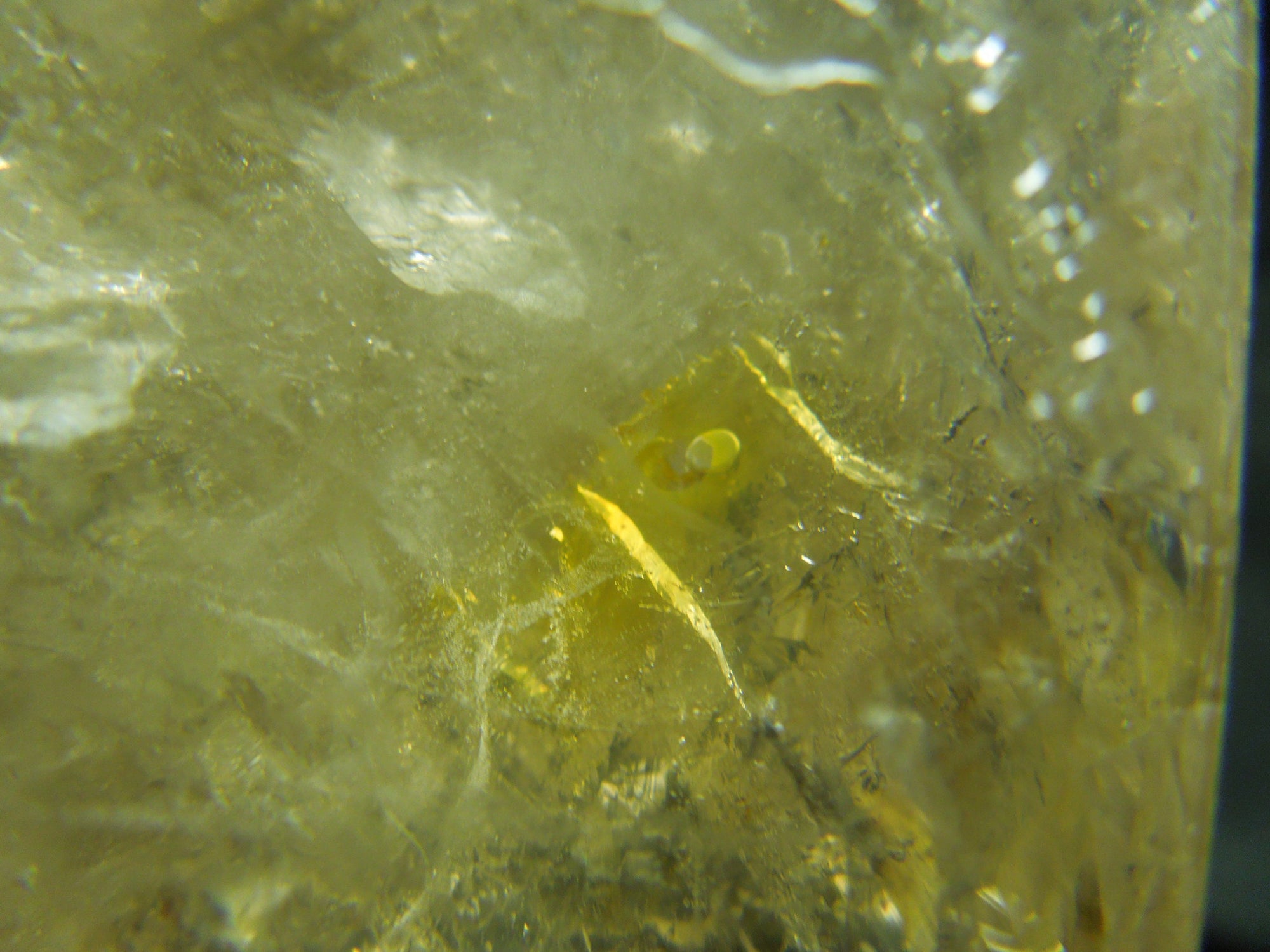 Smoky Elestial Quartz Enhydro, 2.8 lbs.