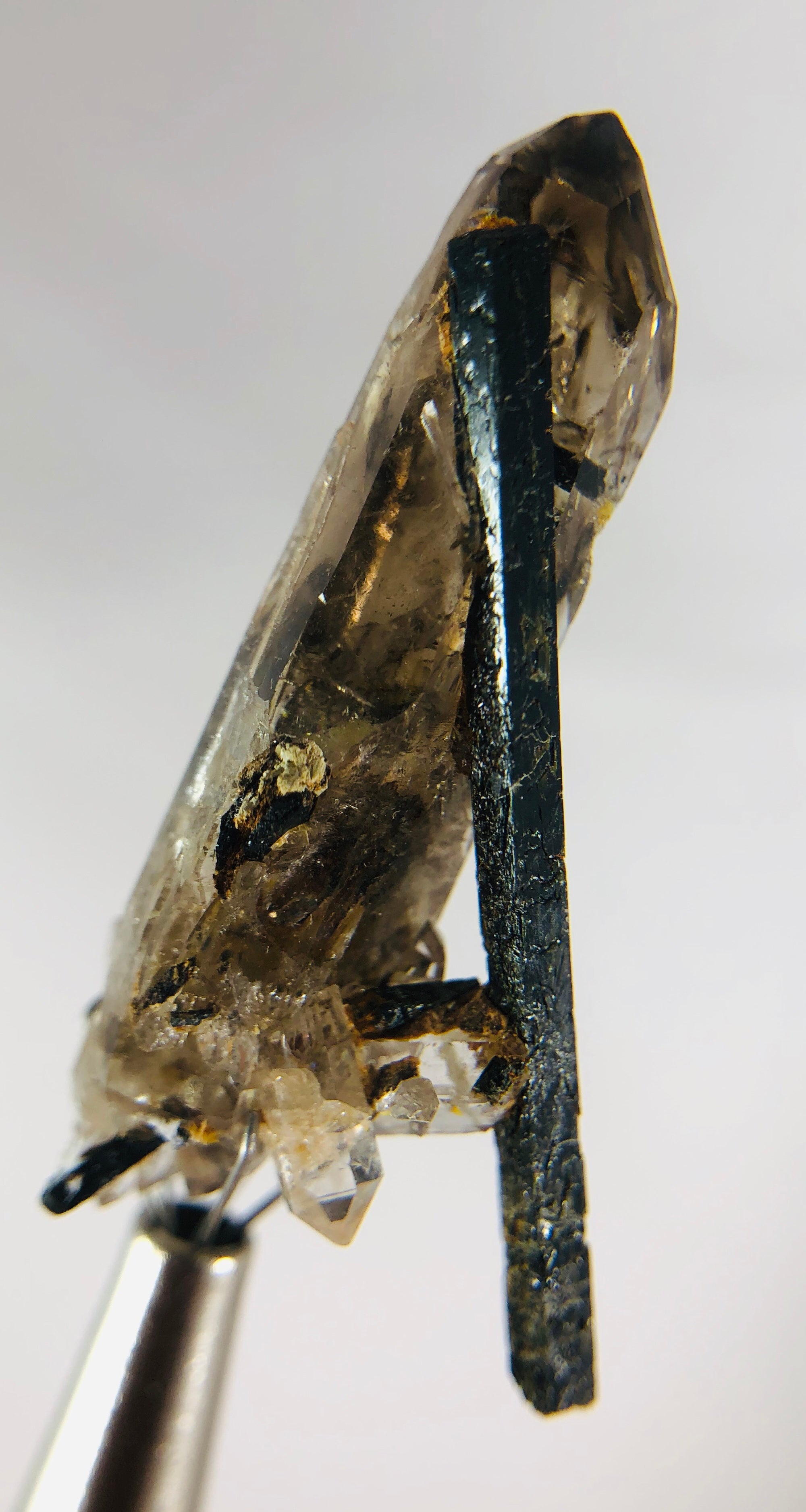 Aegirine with Smoky Quartz