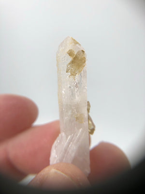Danburite with Citrine, Mexico