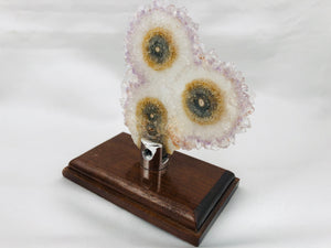 Amethyst Stalactite Slices in Wood Bases