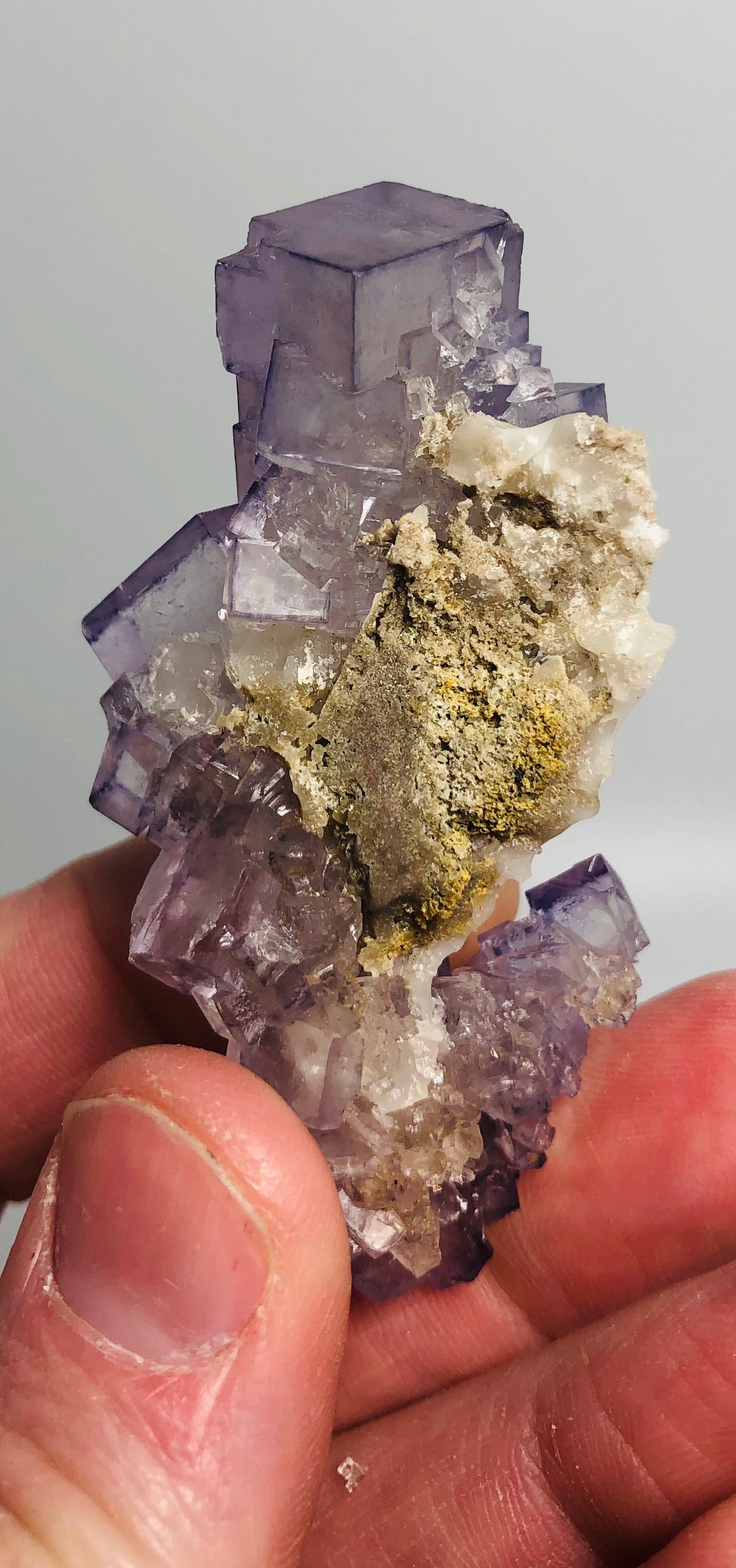 Fluorite, Tauorirt Mine, Morocco