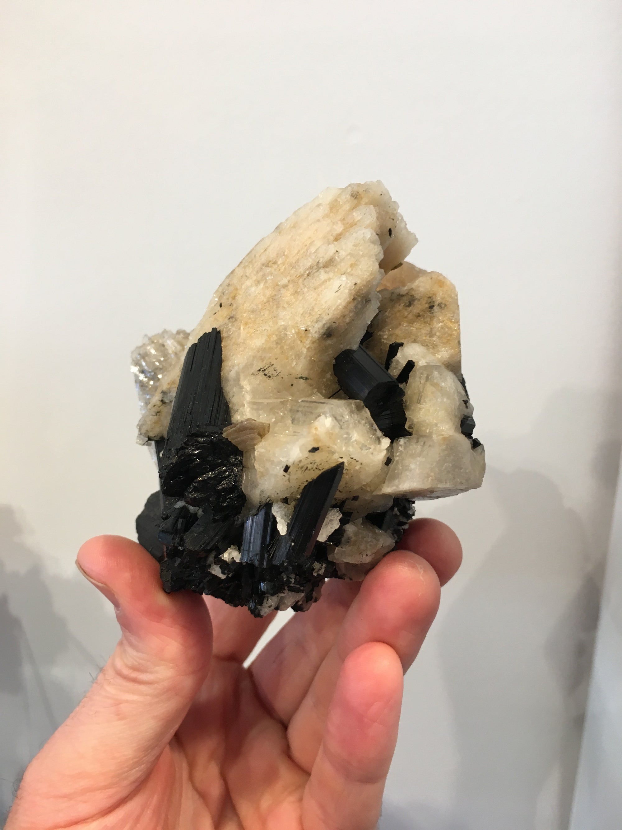 Black Tourmaline w/ Cleavelandite, Brasil