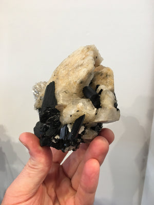 Black Tourmaline w/ Cleavelandite, Brasil