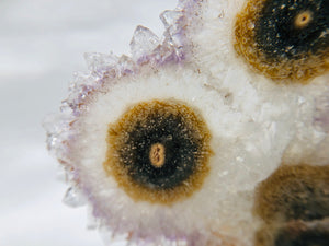 Amethyst Stalactite Slices in Wood Bases