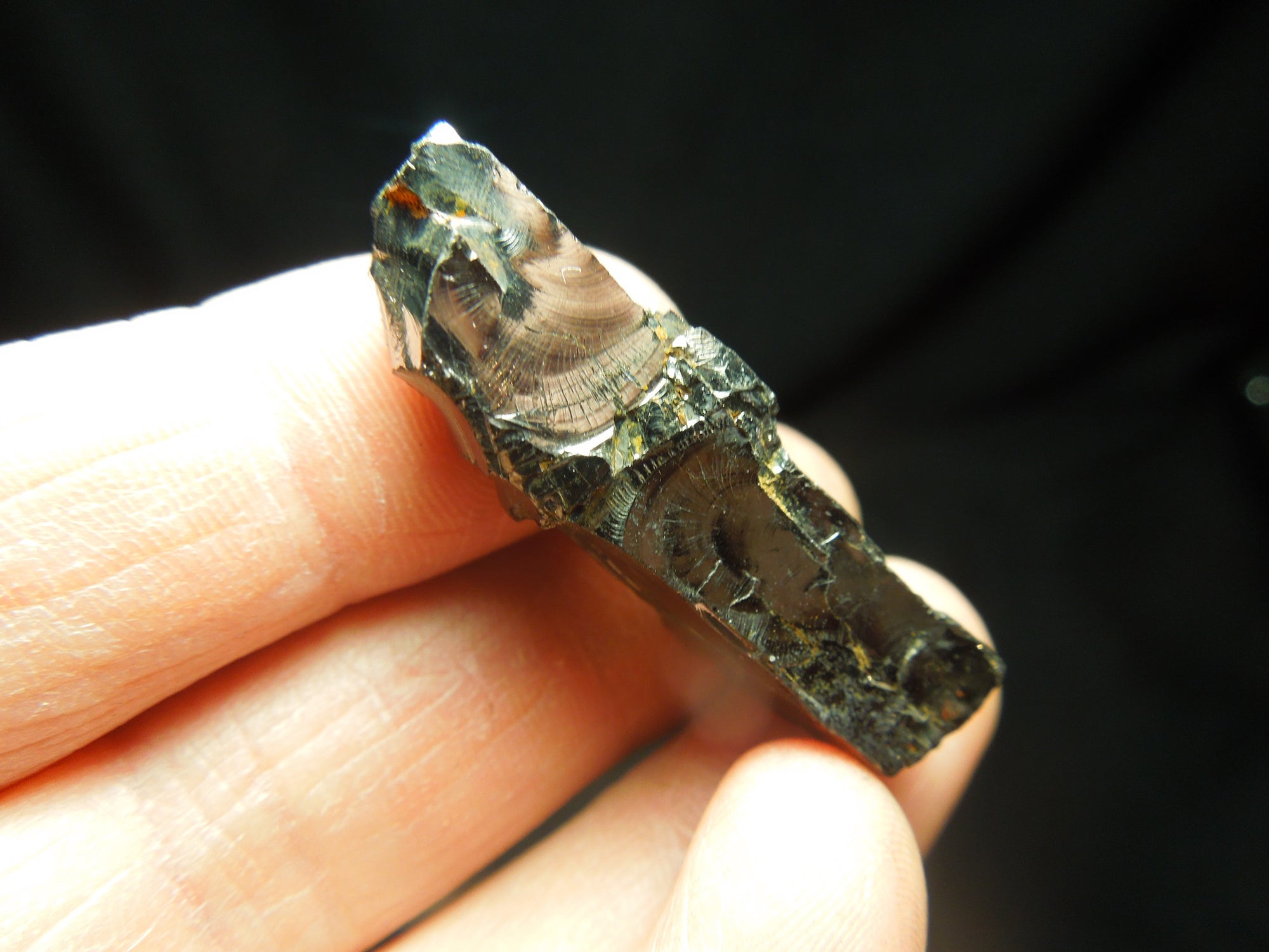 Silver (Noble) Shungite