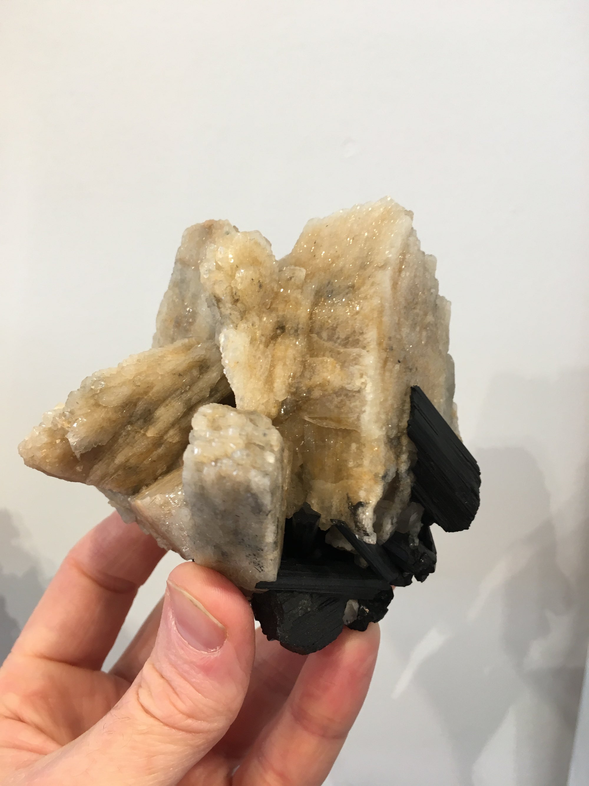 Black Tourmaline w/ Cleavelandite, Brasil