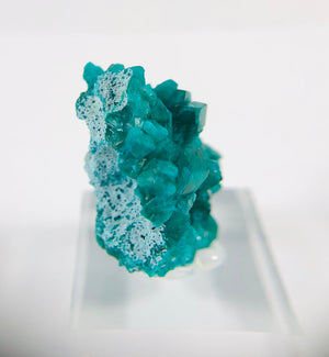 Dioptase Specimen, DRC