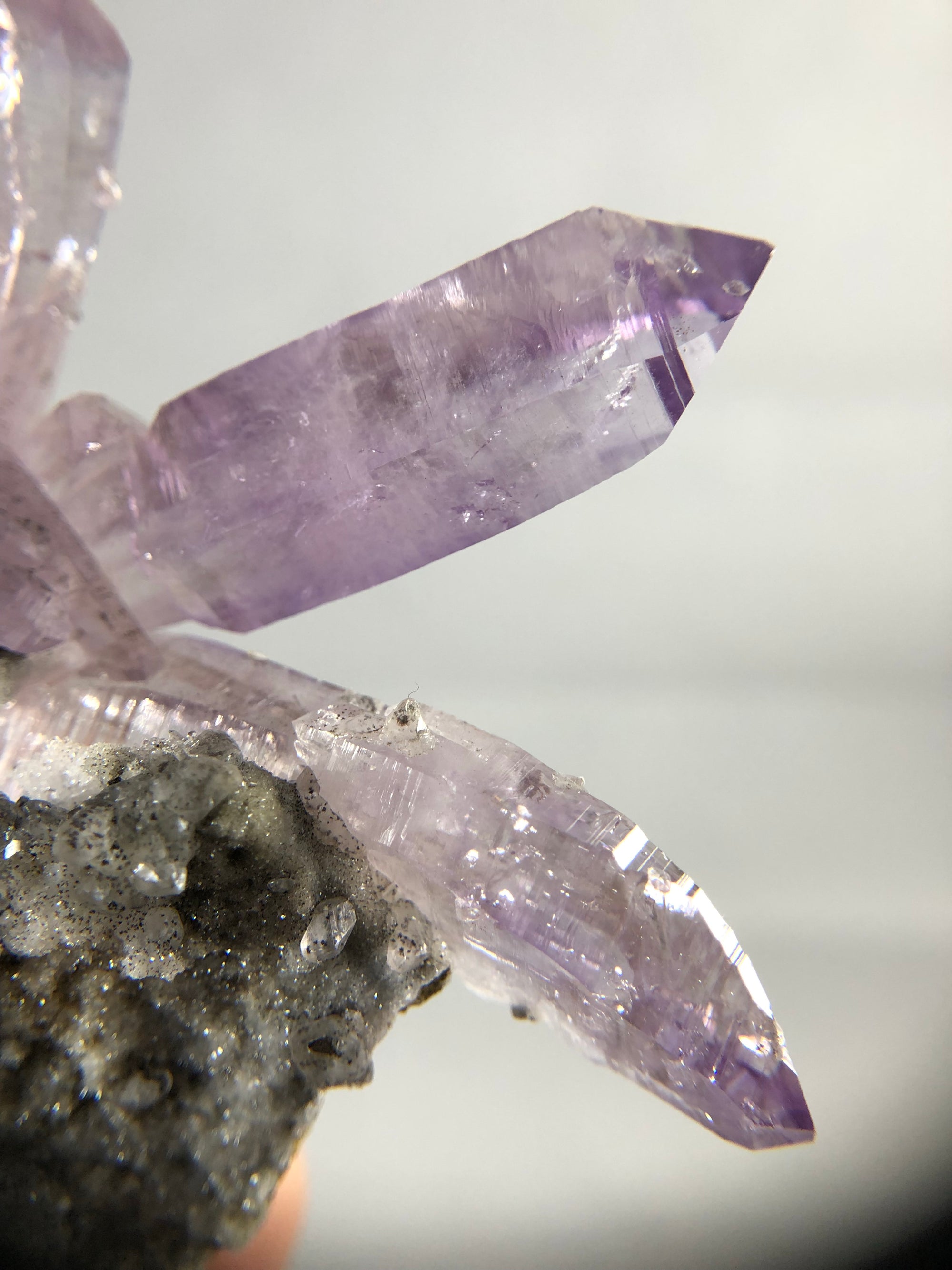 Vera Cruz Amethyst