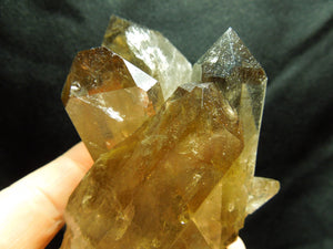 Smoky Quartz Cluster