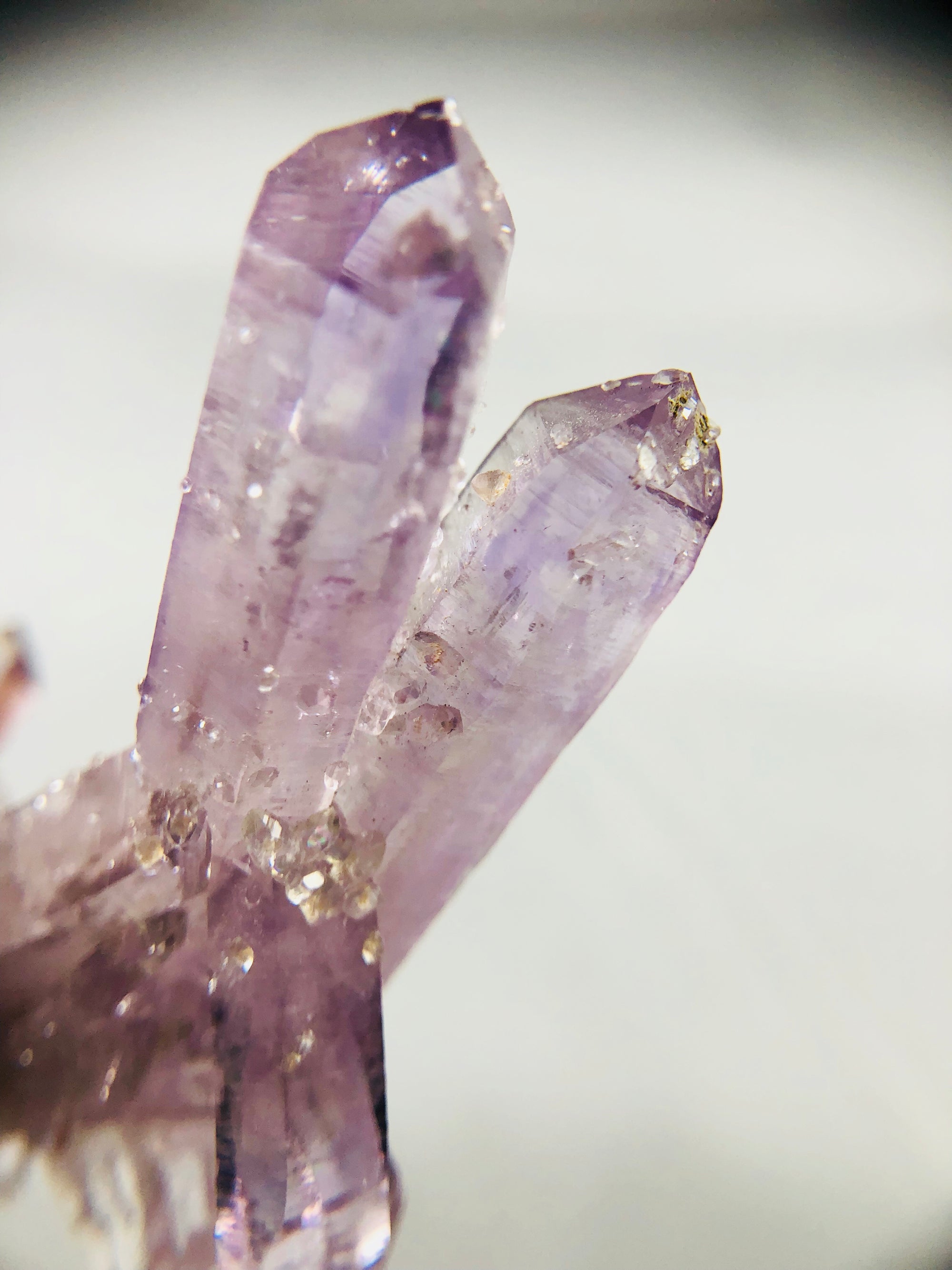 Vera Cruz Amethyst