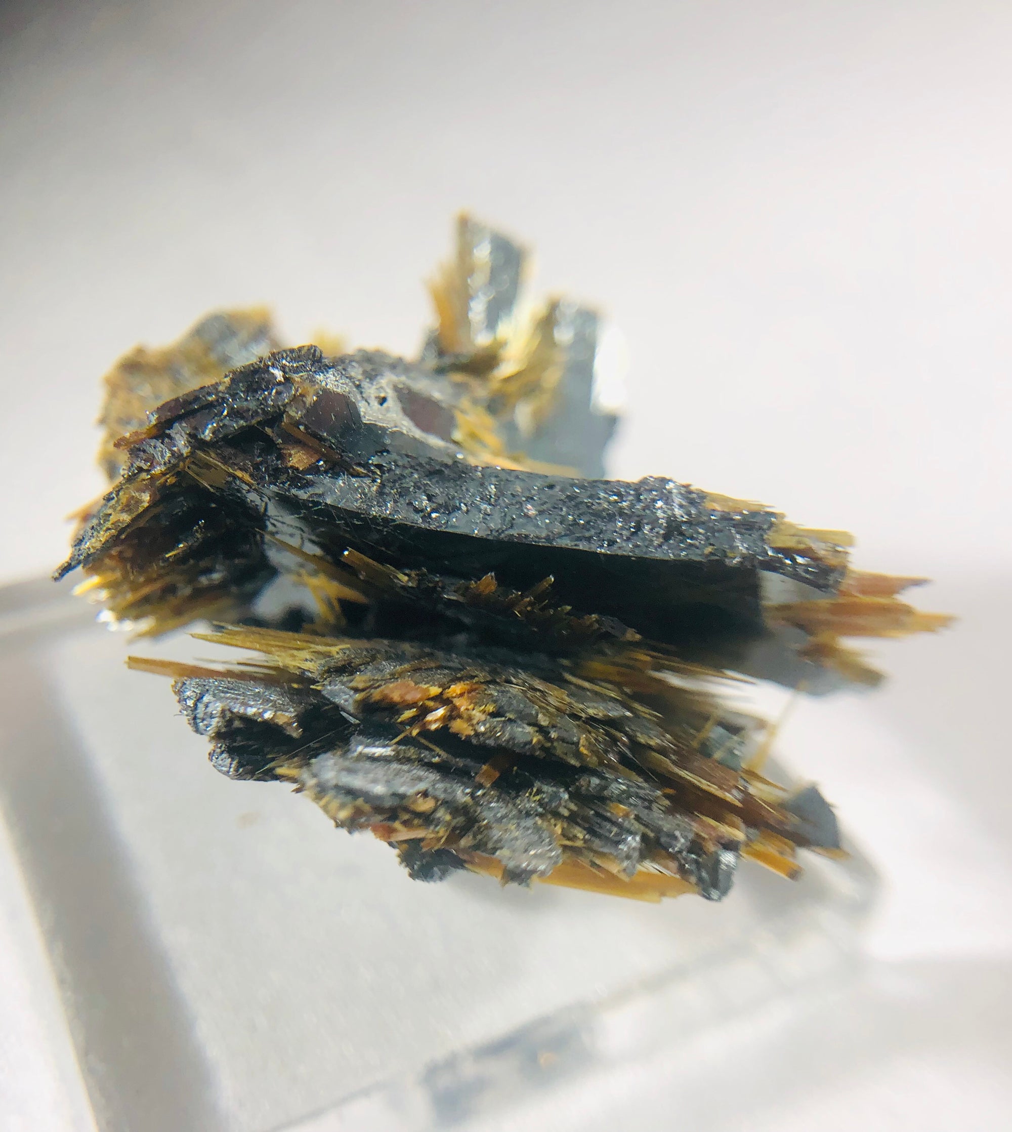 Hematite and Rutile