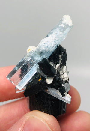 Aquamarine w/ Schorl Tourmaline, Namibia