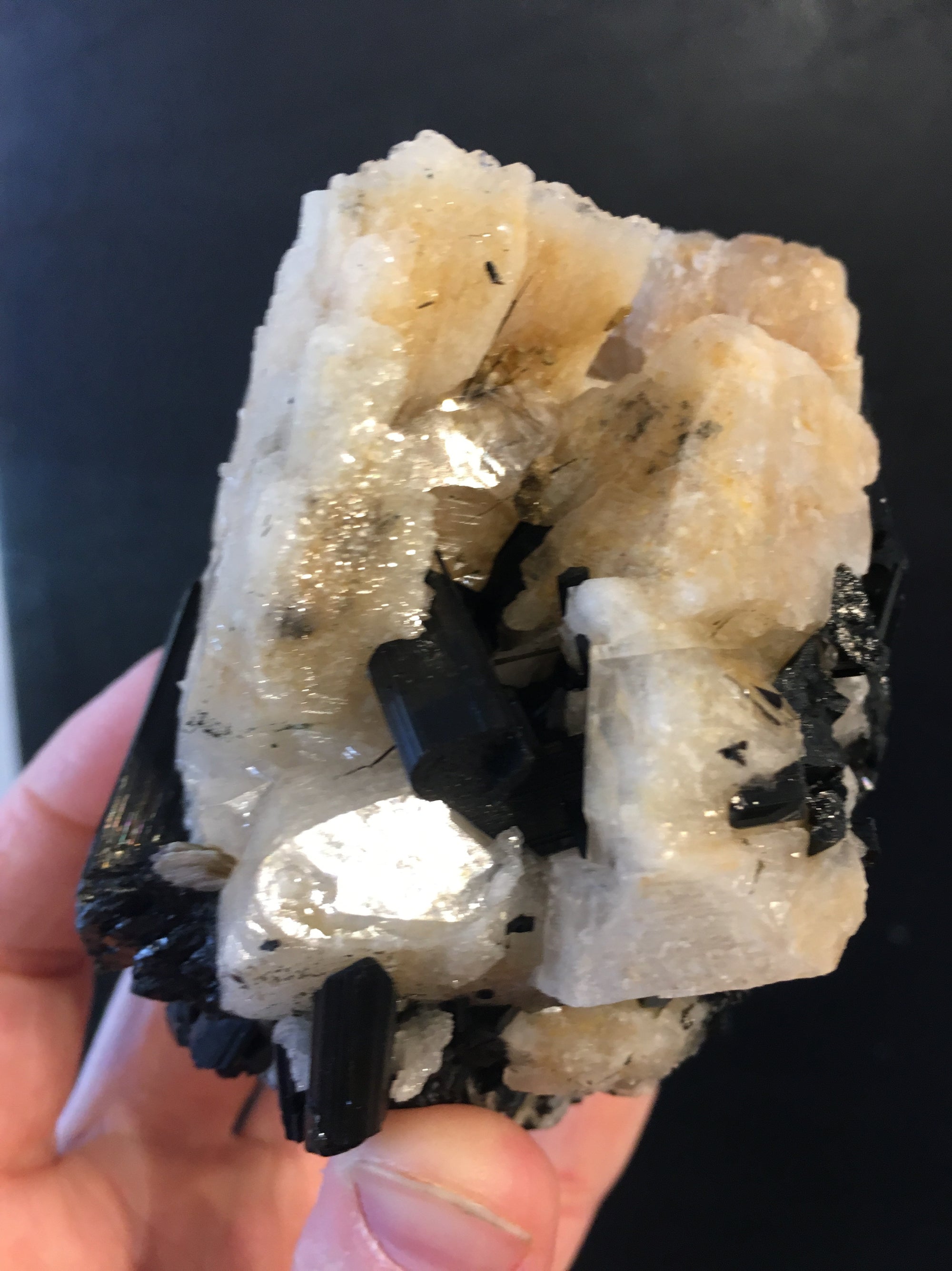 Black Tourmaline w/ Cleavelandite, Brasil