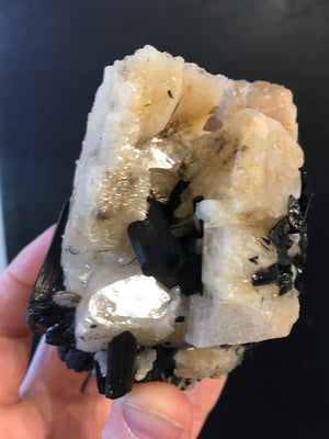 Black Tourmaline w/ Cleavelandite, Brasil