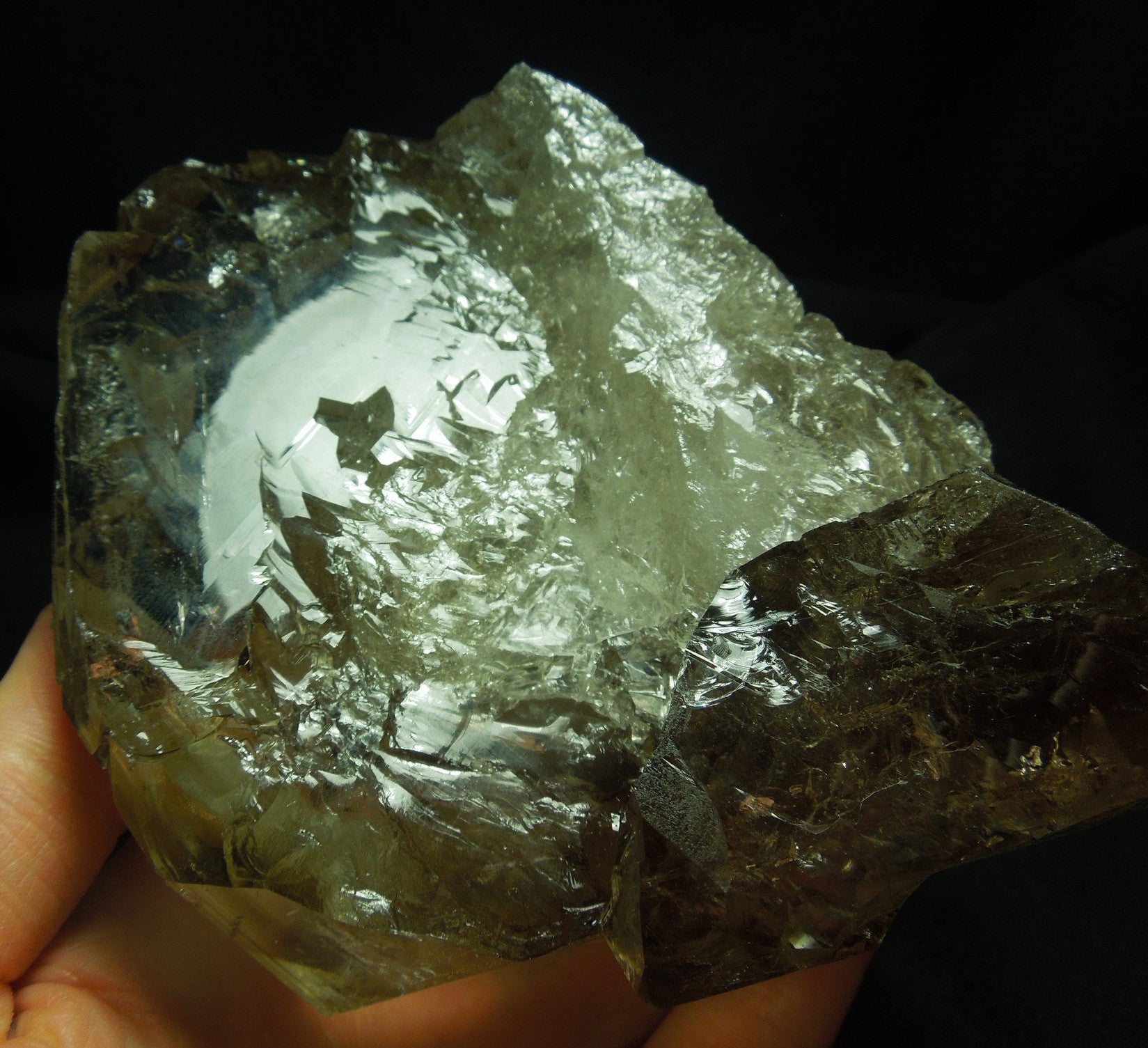 Smoky Elestial Quartz Enhydro, 2.8 lbs.