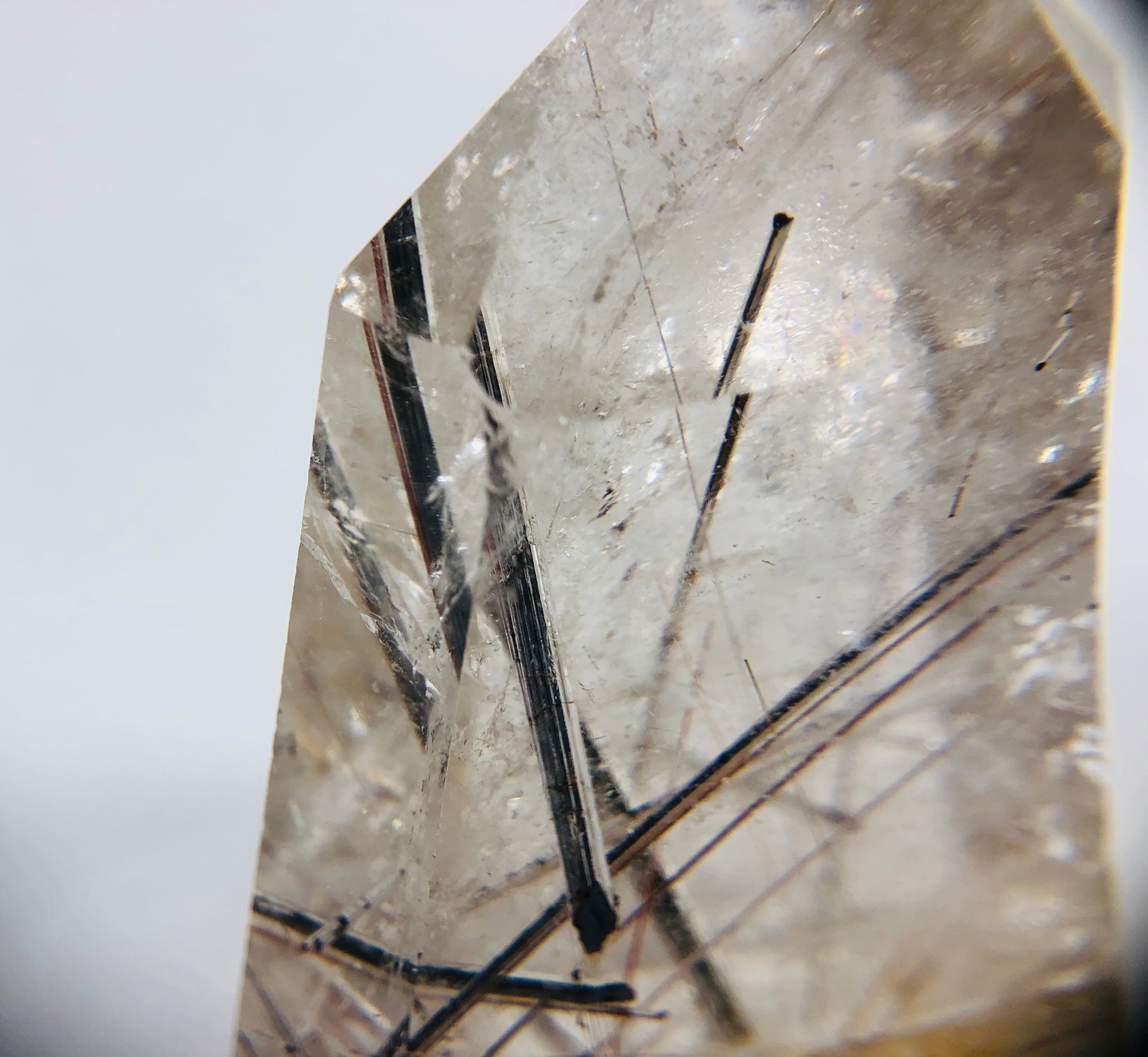 Rutilated Quartz Point, Brasil