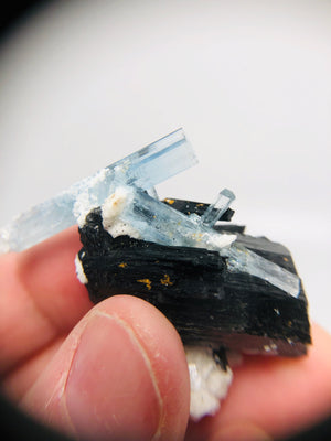 Aquamarine w/ Schorl Tourmaline, Namibia