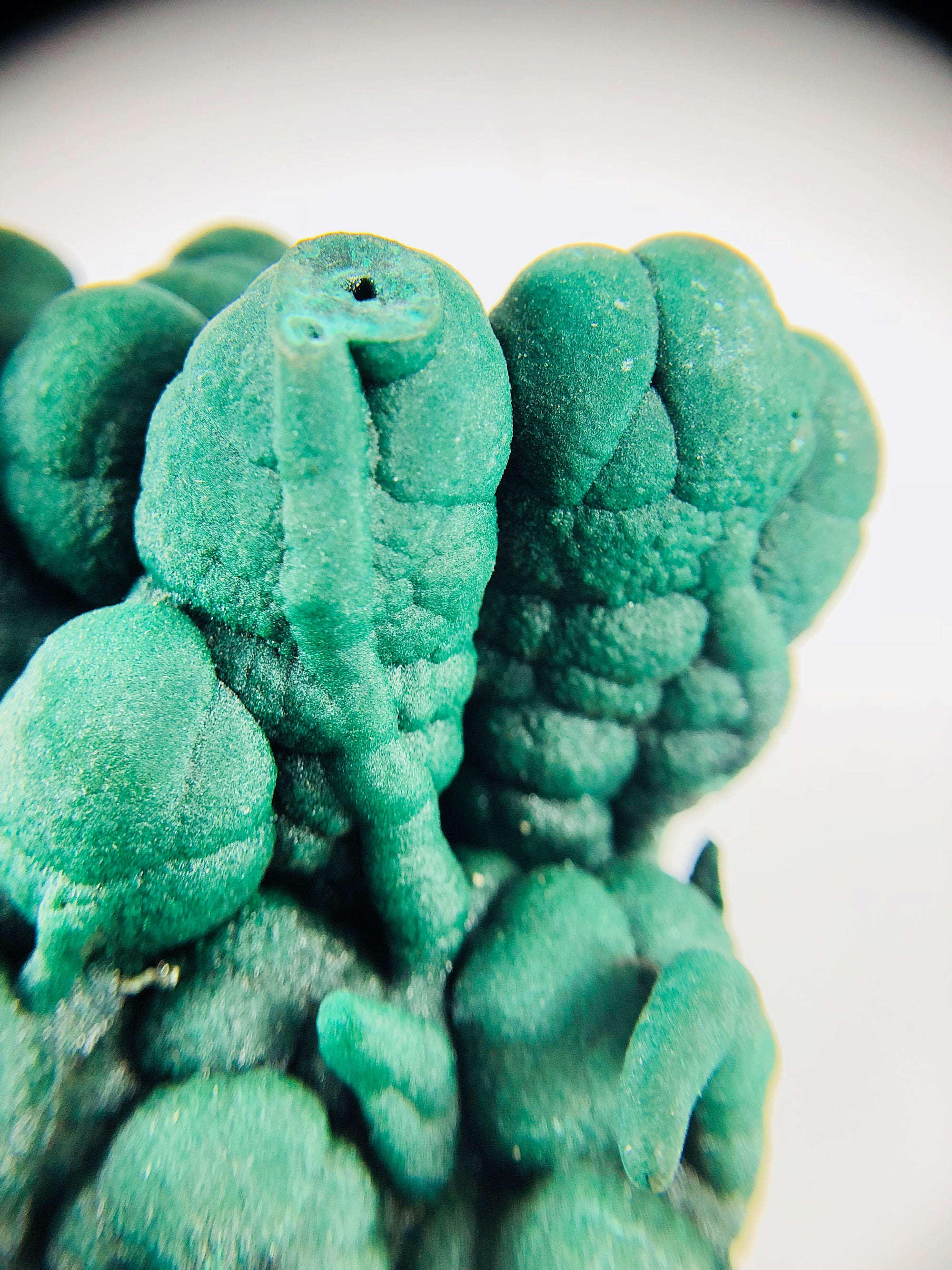 Botryodial Malachite with stalactites