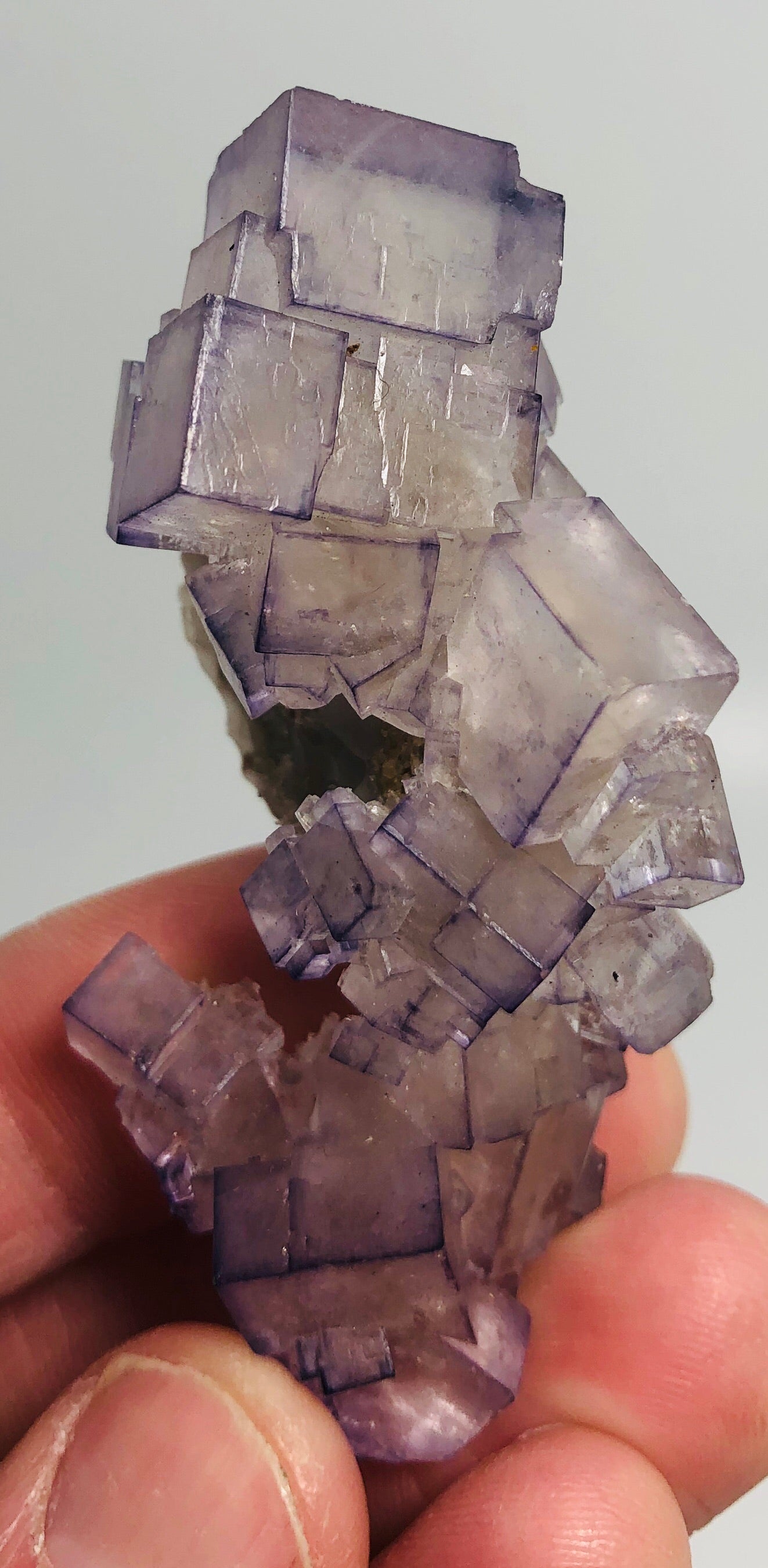 Fluorite, Tauorirt Mine, Morocco