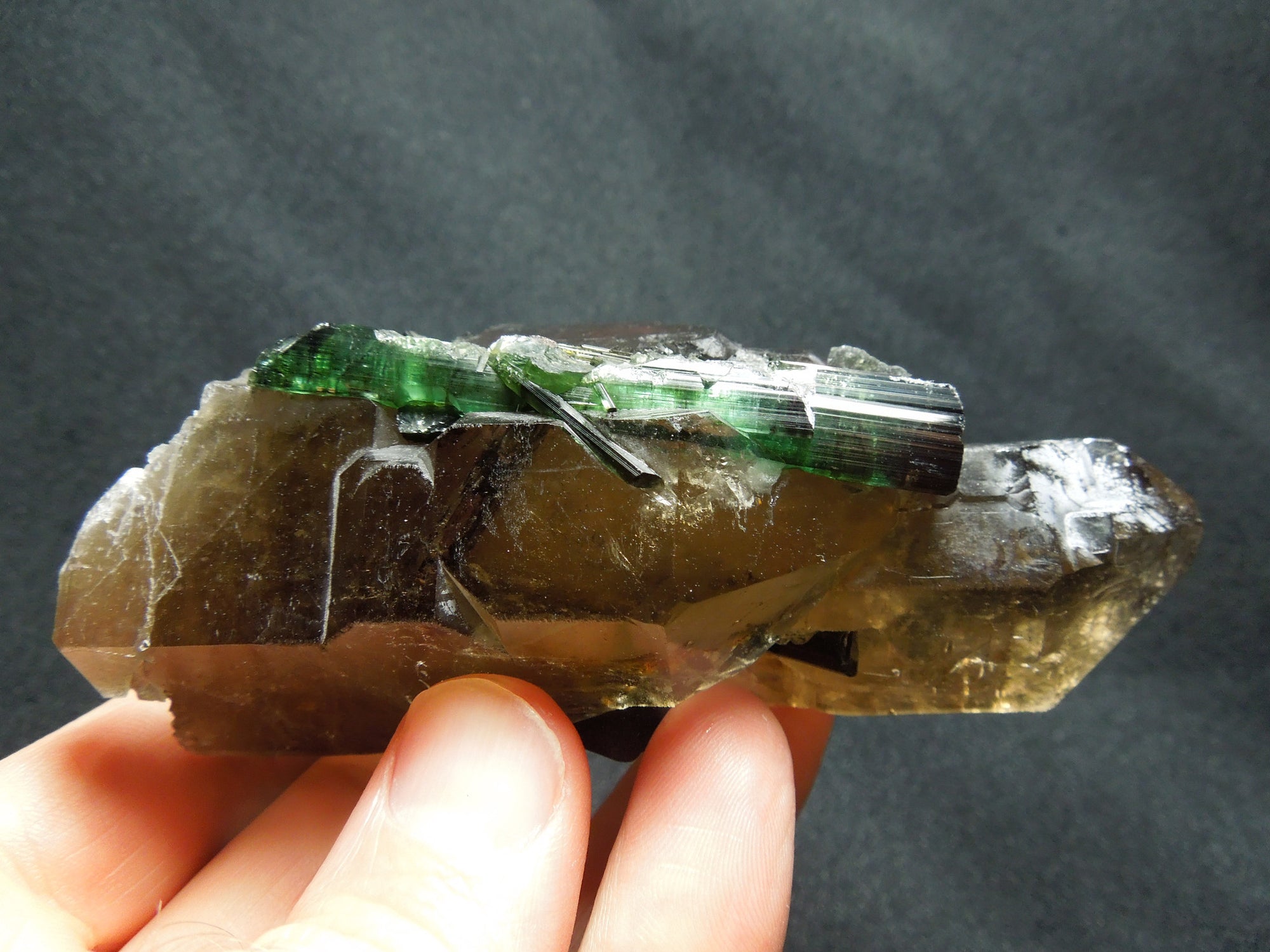 Smoky Cayhedral Quartz w/ Green Tourmaline