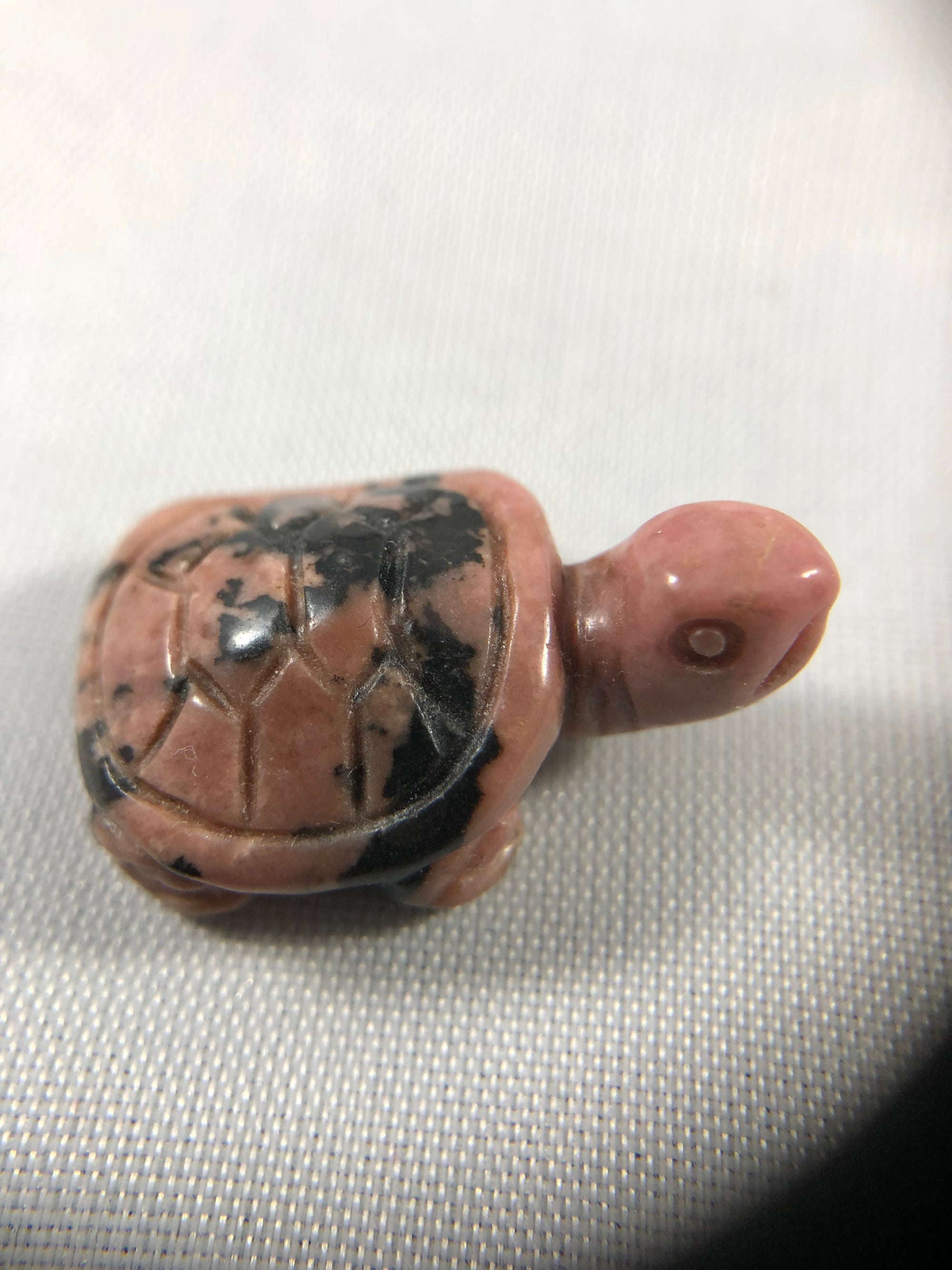 Turtle Carving