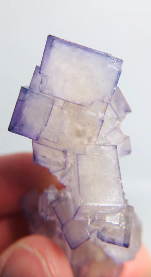 Fluorite, Tauorirt Mine, Morocco