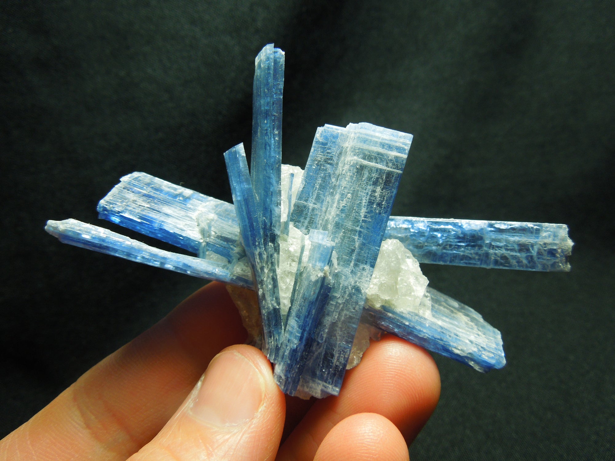 Kyanite Cluster