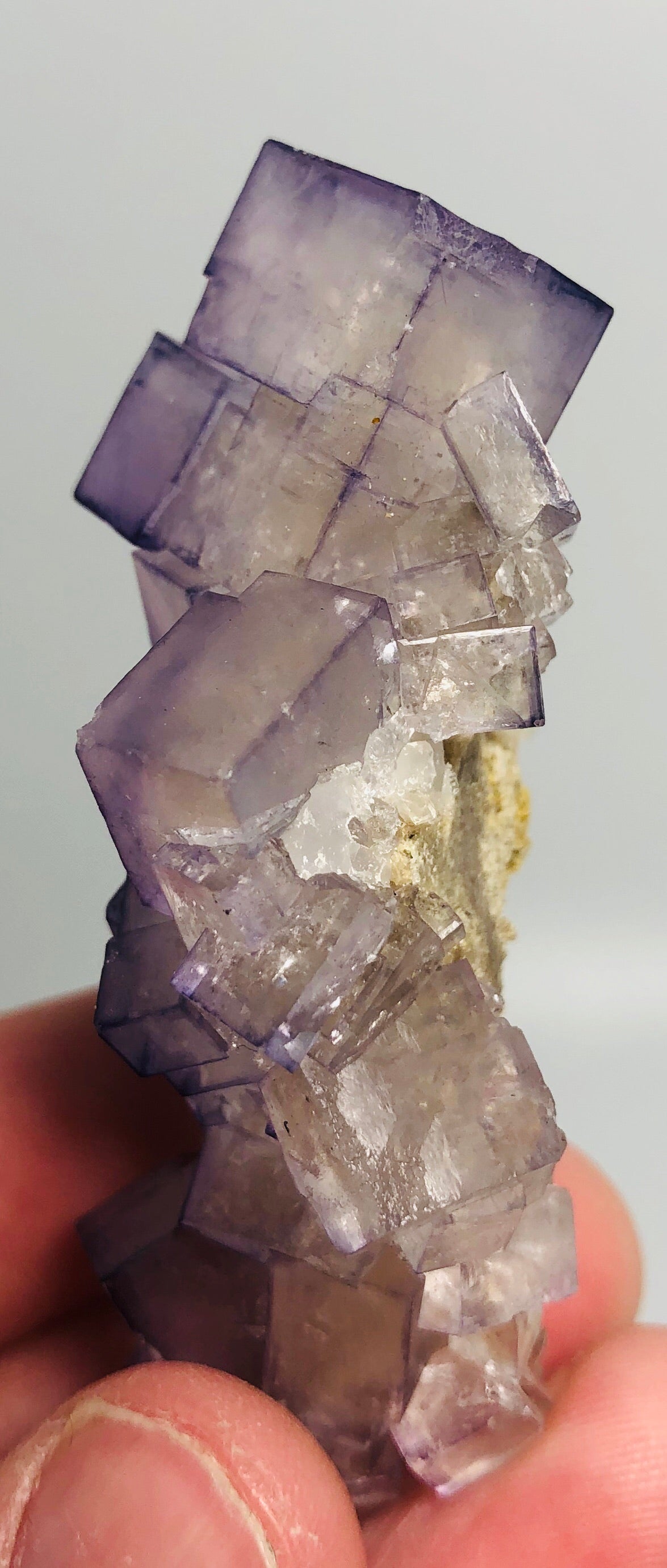 Fluorite, Tauorirt Mine, Morocco