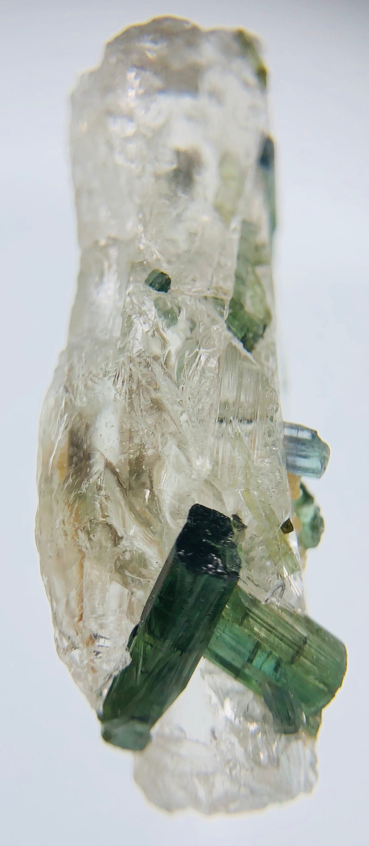 Quartz w/ Tourmaline