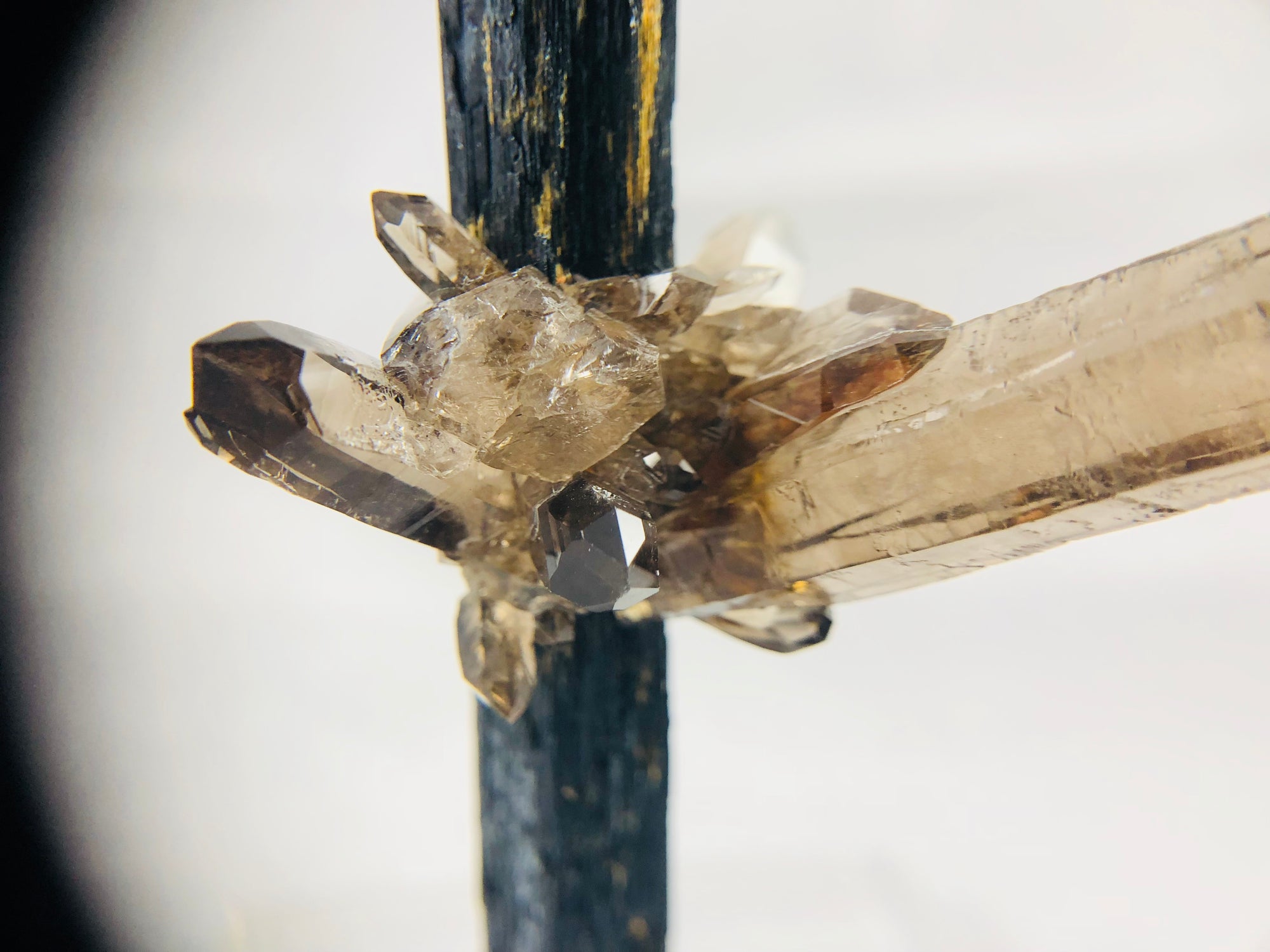 Smoky Quartz on Aegirine