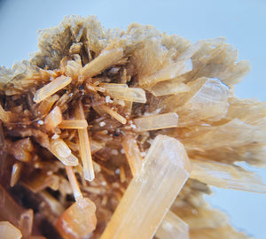 Orange Selenite, Mexico