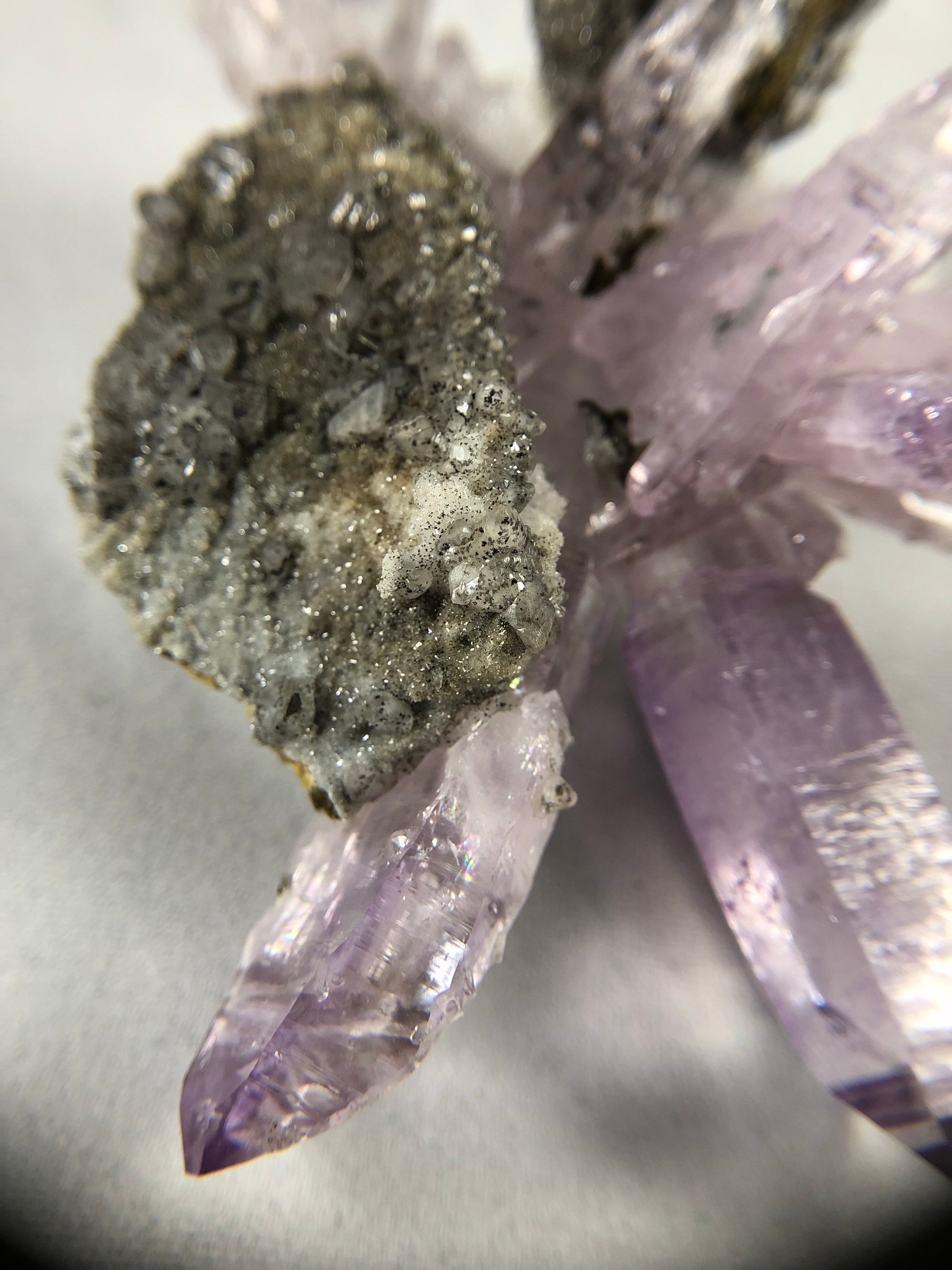 Vera Cruz Amethyst