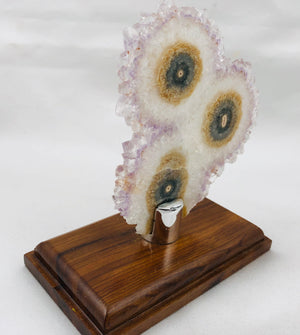 Amethyst Stalactite Slices in Wood Bases