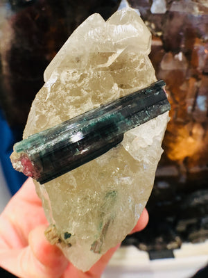 Bi-Color Tourmaline w/ Quartz