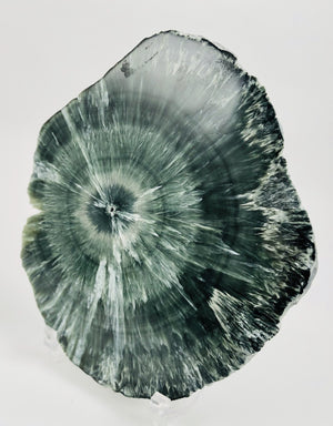 Seraphinite Slice from Russia