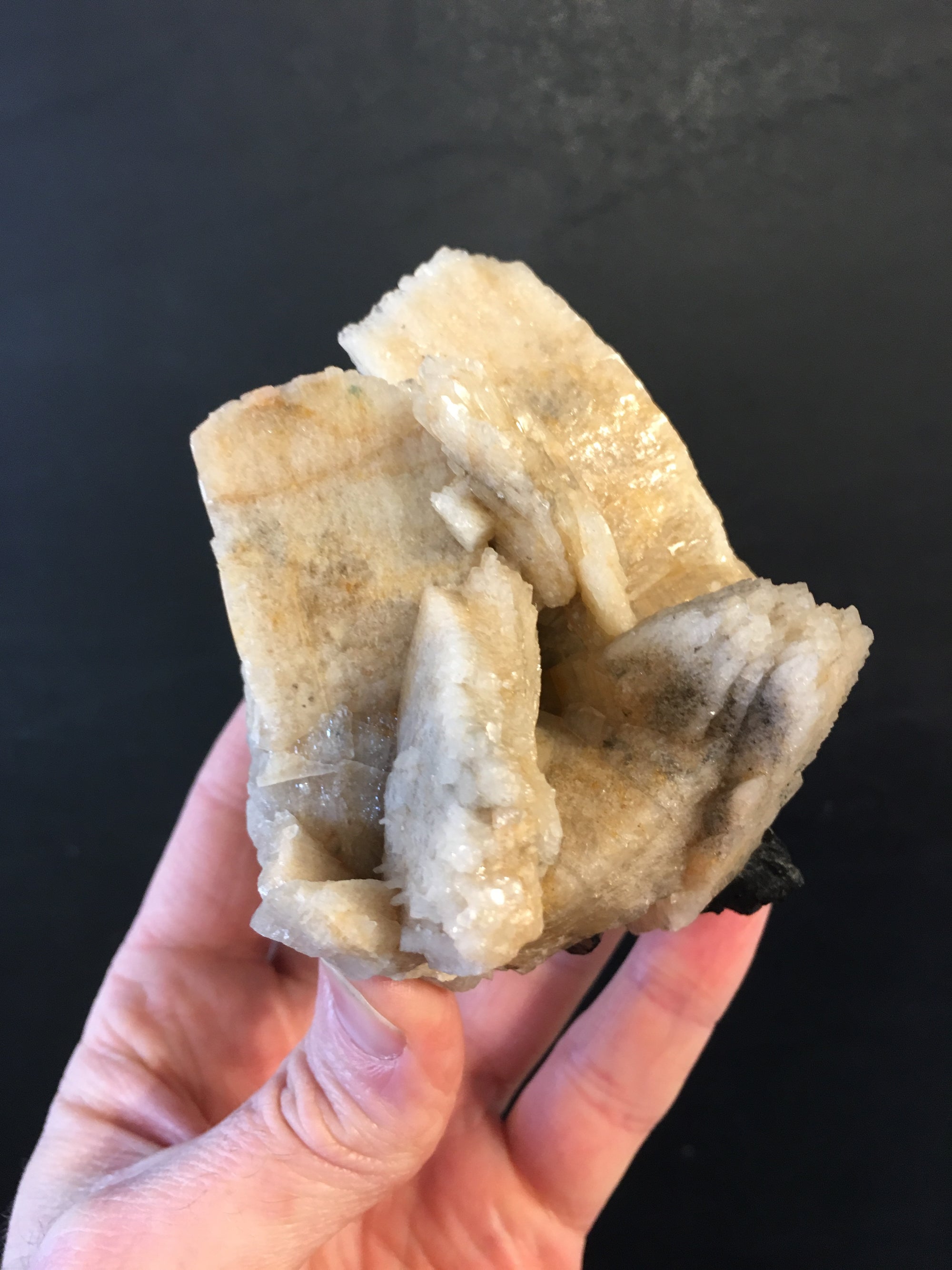 Black Tourmaline w/ Cleavelandite, Brasil