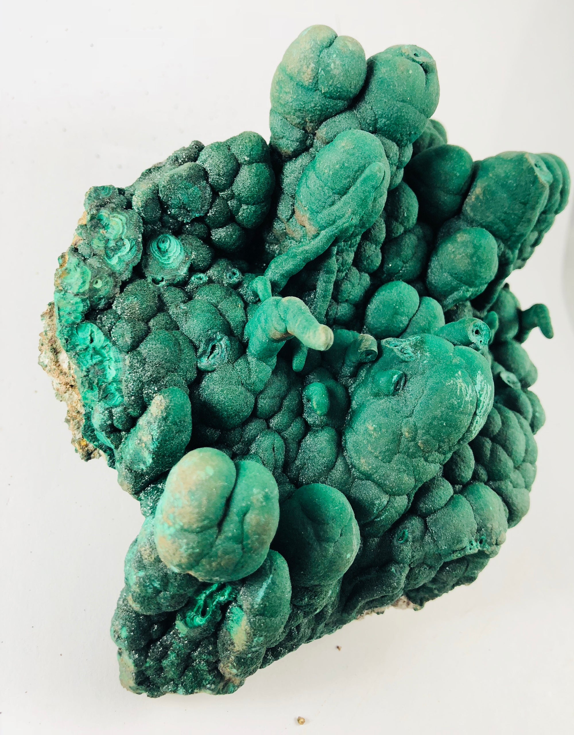 Botryodial Malachite with stalactites