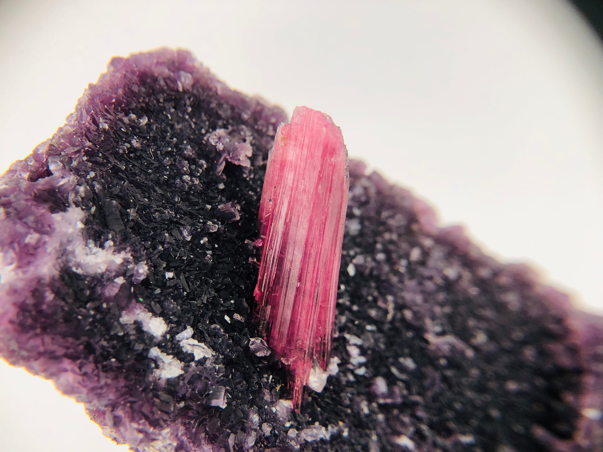 Rubellite Tourmaline on Lepidolite w/ Quartz