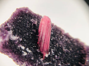 Rubellite Tourmaline on Lepidolite w/ Quartz