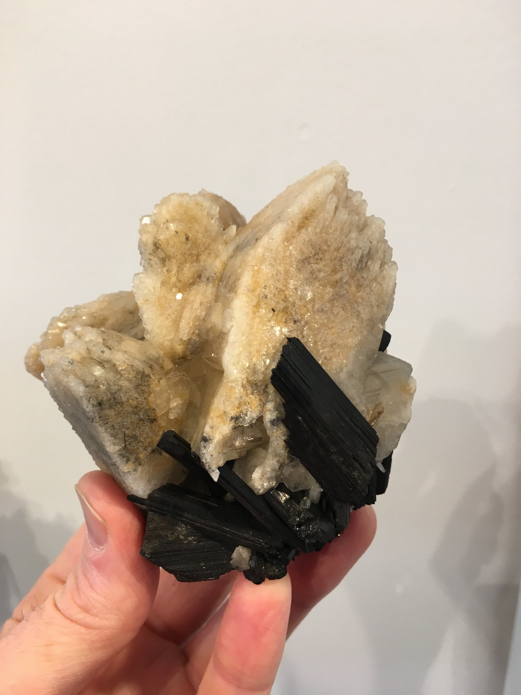 Black Tourmaline w/ Cleavelandite, Brasil