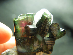 Watermelon Tourmaline w/ Quartz