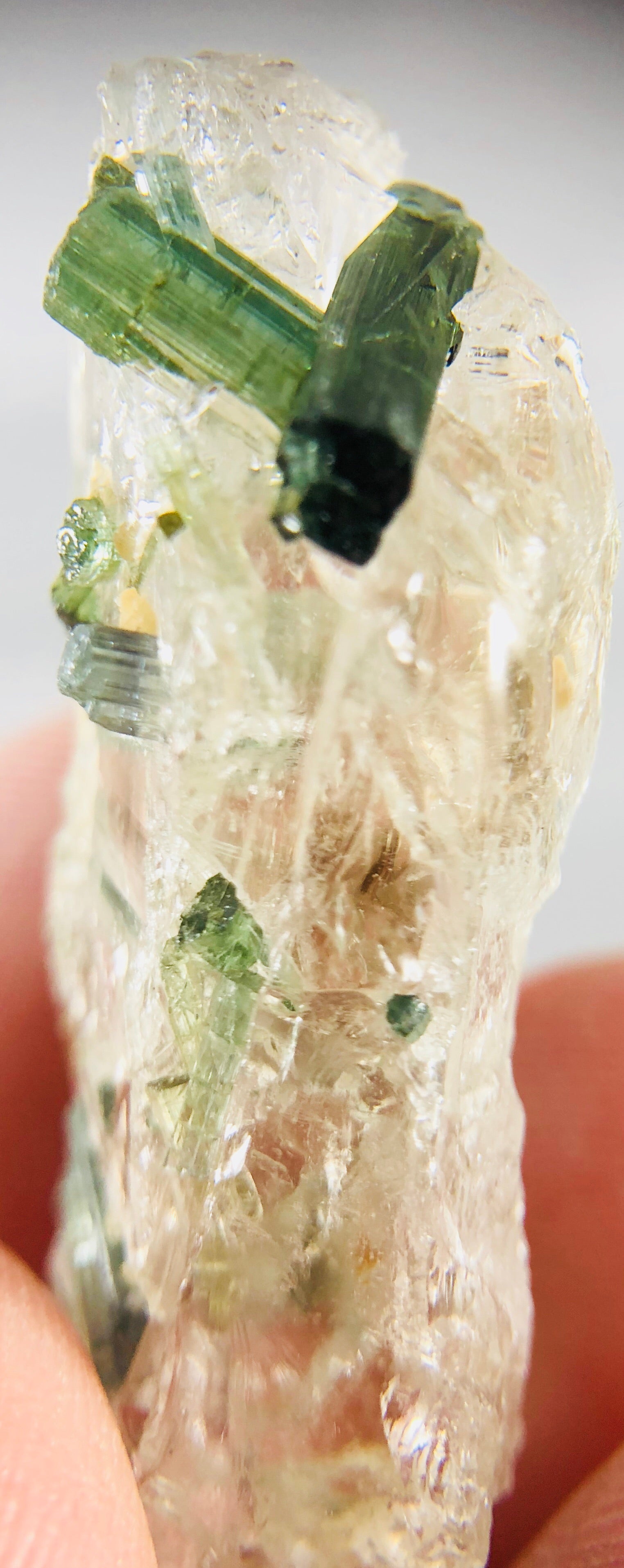 Quartz w/ Tourmaline