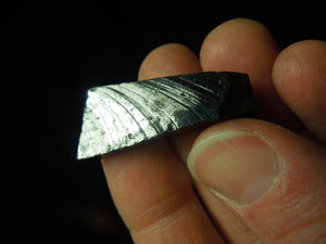 Silver (Noble) Shungite