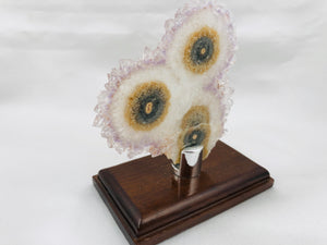 Amethyst Stalactite Slices in Wood Bases